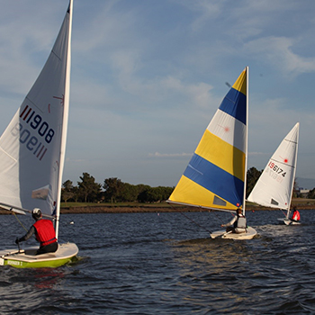 A group of laser perfomrance boats