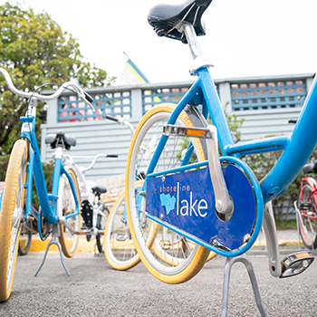 A group of blue bikes.